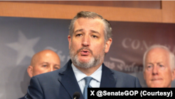 تد کروز، سناتور جمهوریخواه از ایالت تگزاس
