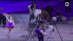 Цирк Братьев Ринглинг, Барнума и Бейли с полуторавековой историей выступил в последний раз