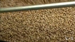 Sante: Yon Etid Syantifik Revele Kafe Bon pou Lasante