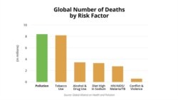 Global Number of Deaths by Risk Factor