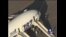世界各航空公司停飞波音787梦幻客机