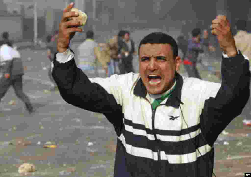 A protester holds stones as he shouts at police during clashes in Cairo January 28, 2011. Police and demonstrators fought running battles on the streets of Cairo on Friday in a fourth day of unprecedented protests by tens of thousands of Egyptians demandi