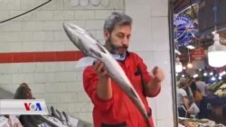 Li Bazara Berhemên Deryayî yên Enqerê Masîyên Teze