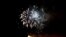 Fireworks cascade into the sky in Long Beach, Califorina. (Photo: Diaa Bekheet)