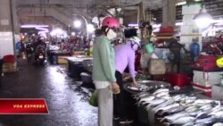 Hạn mặn và dịch bệnh, hai xôi đang nhồi một chỏ