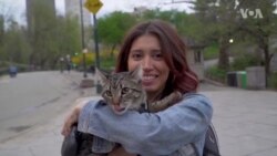 Կարծրատիպ. «Ամերիկացիները ամենաերջանիկ ժողովուրդն են»