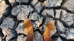 'Kumele Induna Zithume Abantu Bayebika eNjelele Ukuthi Akulazulu eZimbabwe'