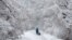 A woman walks a dog on a snow-covered path beside the Rideau Canal in Ottawa, Ontario, Canada.