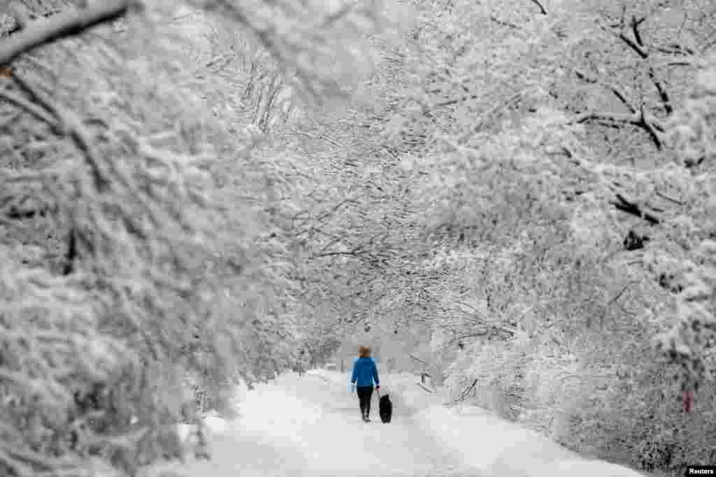 A woman walks a dog on a snow-covered path beside the Rideau Canal in Ottawa, Ontario, Canada.