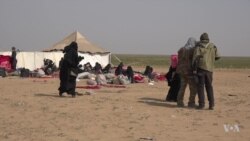 Syria Camps USAGM