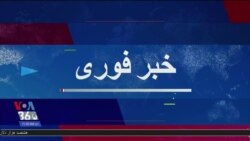 اخبار شامگاهی