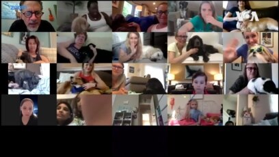 Good News COVID Dog Readers -- USAGM