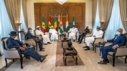 Farafina gun tilebiyan fan jamanaw nafasorosira jekulu -CEDEAO ka, bi, Tenin don laje Niamey Mali kan