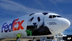 Панди покинули Вашингтон спецаільним рейсом у супроводі працівників зоопарку та ветеринара. На борту літака для 19-годинного польоту пепедбачено 100 кг бамбука. Photo: Business Wire