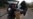 Post-Storm, 'Occupy Wall Street' Becomes 'Occupy Sandy'