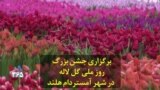 برگزاری جشن بزرگ روز ملی گل لاله در شهر آمستردام هلند