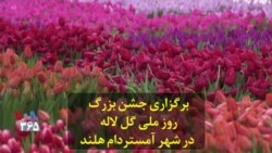 برگزاری جشن بزرگ روز ملی گل لاله در شهر آمستردام هلند