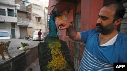 Ahli taksidermi Jahangir Khan Jadoon tengah mengawetkan burung merak di Lahore, 9 Juni 2021. (AFP) 