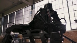 Bionic Bodies
