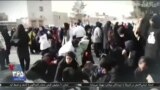 اخبار شامگاهی