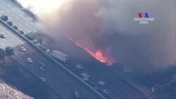 Կալիֆոռնիայի հրդեհի արդյունքում զոհված անձանց թիվը հասել է 42-ի