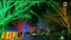 Настоящее Время. Америка – 1 декабря 2016