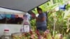 Dalam gambar dari video ini, seorang wanita berdoa di depan potret anaknya yang tewas karena campak di Apia, Samoa. Samoa menutup semua sekolahnya, 18 November 2019, dan mengamanatkan agar semua orang mendapat vaksinasi. (Foto: AP)