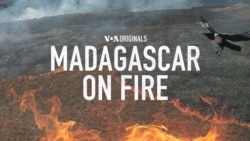 Preview: Madagascar On Fire (S3, E50) 