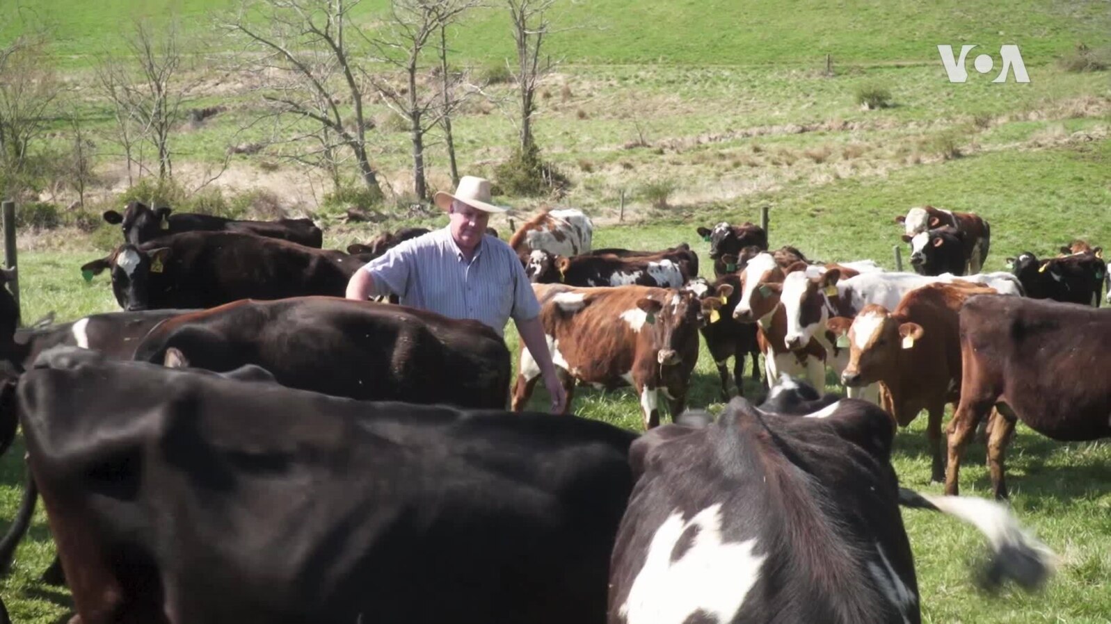 Regenerative Agriculture