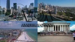 Amerika Manzaralari: Urush jarohatlari, viza va Chikago