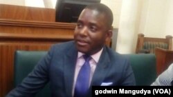 Justice Mayor Wadyajena
