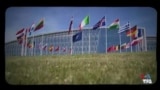 پیمان دفاعی ناتو؛ از آغاز تا جنگ اوکراین
