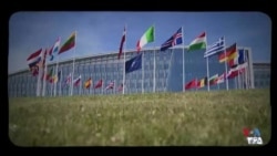 پیمان دفاعی ناتو؛ از آغاز تا جنگ اوکراین
