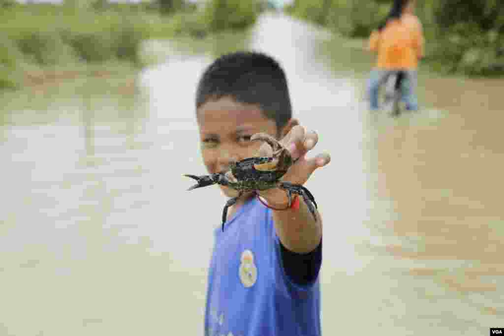 កុមារម្នាក់ចាប់បានក្តាមផ្លូវដែលទឹកជន់លិច នៅសង្កាត់ស្ពានថ្ម ខណ្ឌដង្កោរ ភ្នំពេញ ថ្ងៃទី១៤ ខែតុលា ឆ្នាំ២០២០។ (ទុំ ម្លិះ/វីអូអេ)