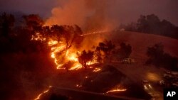 Flames from a backfire, lit by firefighters to slow the spread of the Kincade fire, burn a hillside in unincorporated Sonoma County, Calif., near Geyservillle, Oct. 26, 2019.