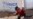 UN Issues Biggest Appeal Yet for Syria
