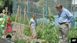 Head-Royce students grow organic vegetables as well as native plants and trees in the school's 370-square-meter garden.