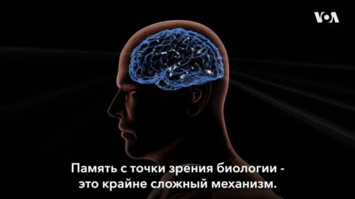 Как переводится флеш память с английского на русский