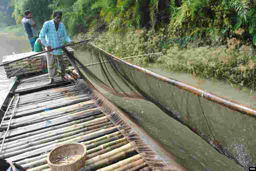 Otter fishing is practiced in just a few districts in Bangladesh near the Sundarbans mangrove forest. (Amy Yee for VOA)