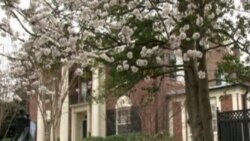 ვაშინგტონი დღეს, 19 აპრილი, 2013