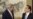Analysts: China, US Split on N. Korea Sanctions