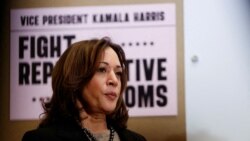 La vicepresidenta Kamala Harris, habría alcanzado el apoyo de suficientes delegados para garantizar su nominación en el Partido Demócrata.