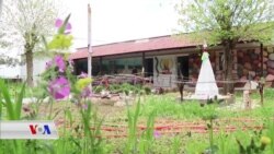 Êzîdîyên Cizîrê Cejina Çarşema Sor Pîroz Kir