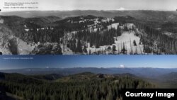 Comparison of Bald Mountain, east of Seattle, Washington, 1934 (top) and 2014 (bottom).