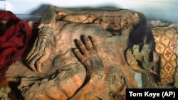 This August 2024 photo provided by researchers shows a mummified human from Peru's Chancay culture. 