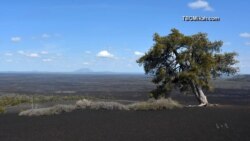 Rocks Are Common Theme at Idaho's National Park Sites