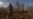 Ukraina Hancurkan 13 Drone Rusia