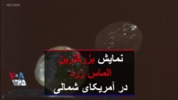 نمایش بزرگترین الماس زرد در آمریکای شمالی؛ به اندازه یک تخم مرغ