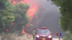 希臘雅典附近山火造成至少74人死亡