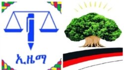 ኦዲፓን ኢዜማን ዝፀንሐ ቅርሕንት ብምልዓል ሰላምን ምርግጋእን ከይህሉ ይፅዕሩ ኣለው ንዝበልዎም ሓይልታት ኣውጊዞም